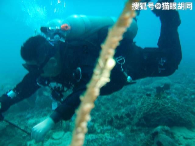 如果再婚的话你还会要孩子吗？